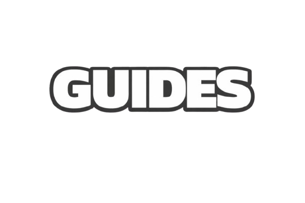 Guide